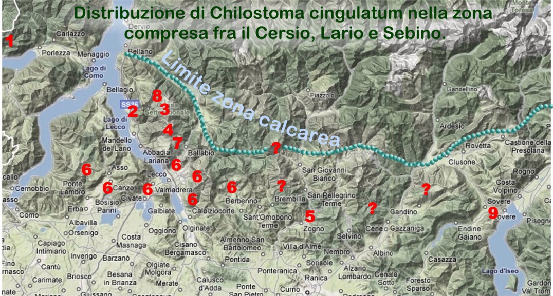 Distrib. di Chilostoma cingulatum nelle prealpi Lombarde